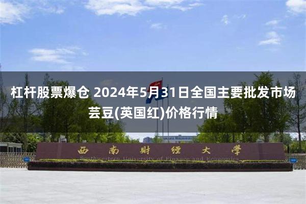 杠杆股票爆仓 2024年5月31日全国主要批发市场芸豆(英国红)价格行情