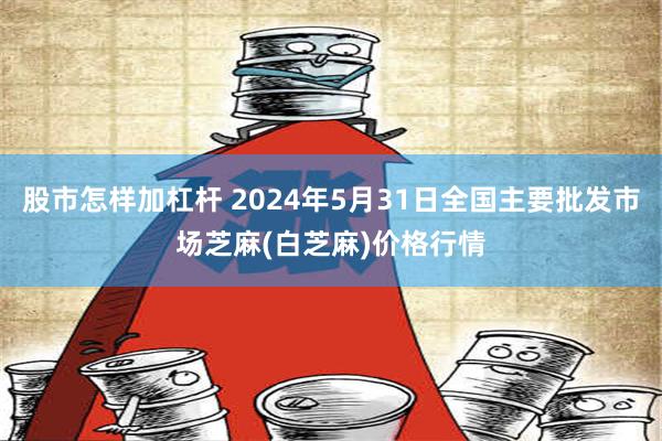 股市怎样加杠杆 2024年5月31日全国主要批发市场芝麻(白芝麻)价格行情