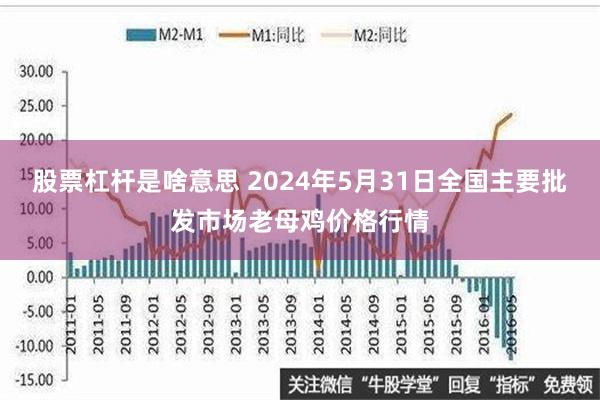 股票杠杆是啥意思 2024年5月31日全国主要批发市场老母鸡价格行情