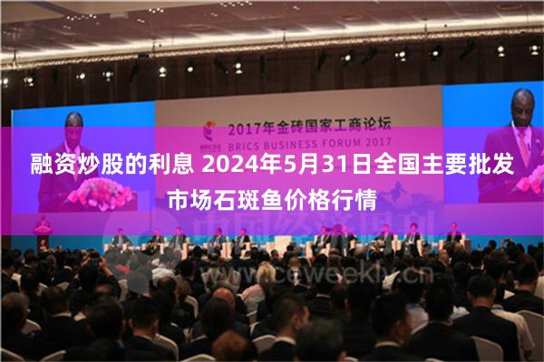 融资炒股的利息 2024年5月31日全国主要批发市场石斑鱼价格行情