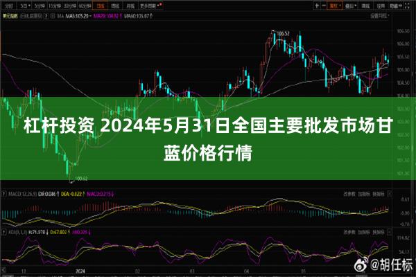 杠杆投资 2024年5月31日全国主要批发市场甘蓝价格行情