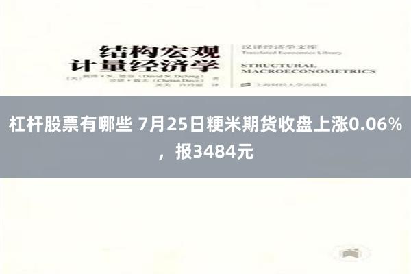 杠杆股票有哪些 7月25日粳米期货收盘上涨0.06%，报3484元