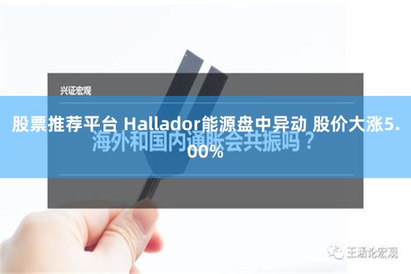 股票推荐平台 Hallador能源盘中异动 股价大涨5.00%