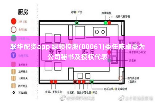 联华配资app 绿领控股(00061)委任陈卓豪为公司秘书及授权代表