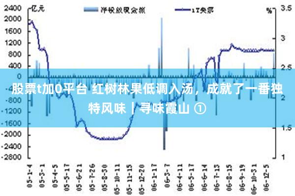 股票t加0平台 红树林果低调入汤，成就了一番独特风味｜寻味霞山 ①